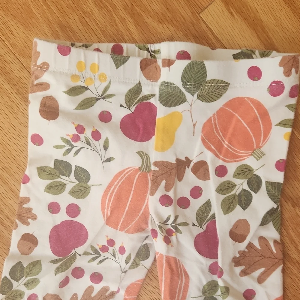 The Children's Place Festive Leggings Set Christmas And Fall 3T